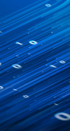 شركة Hangzhou Putianle Cable Co. ، Ltd.